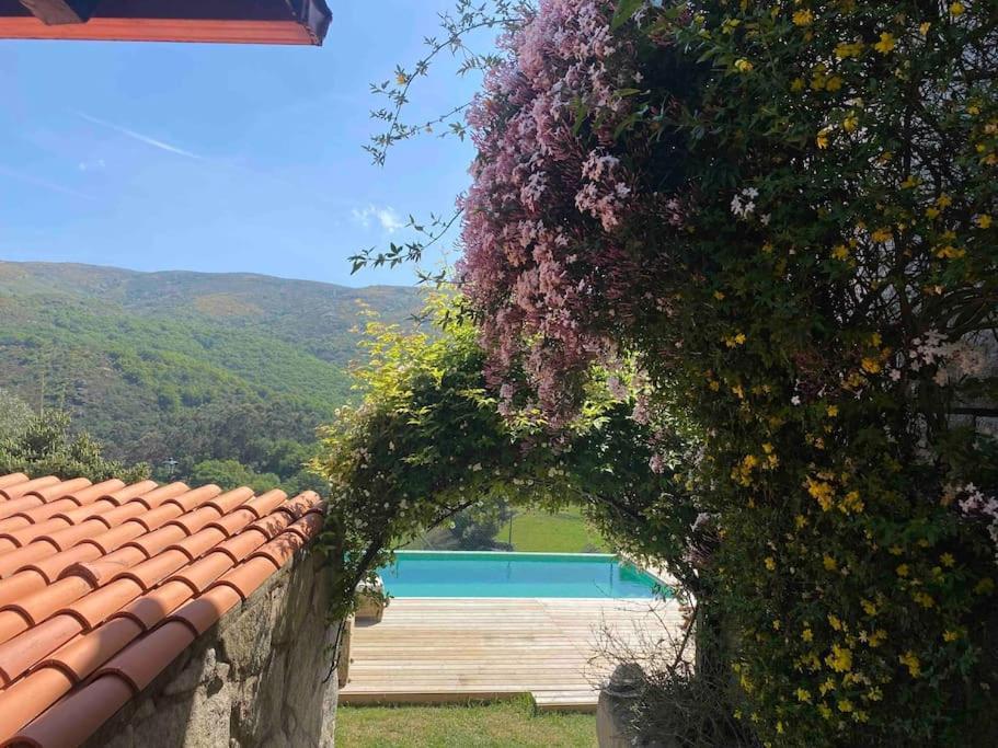 La Loba - Un Pequeno Paraiso A Tu Alcance Vila Fornelos de Montes Exterior foto