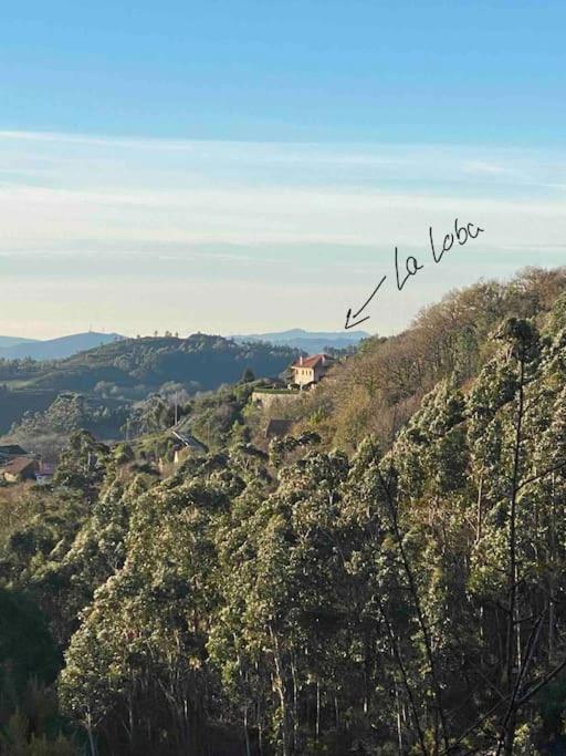 La Loba - Un Pequeno Paraiso A Tu Alcance Vila Fornelos de Montes Exterior foto